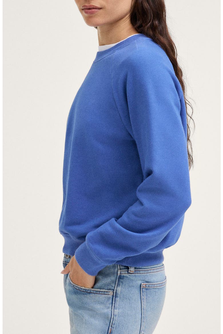 McCarren Crewneck Raglan Sweatshirt, Alternate, color, ATLAS BLUE