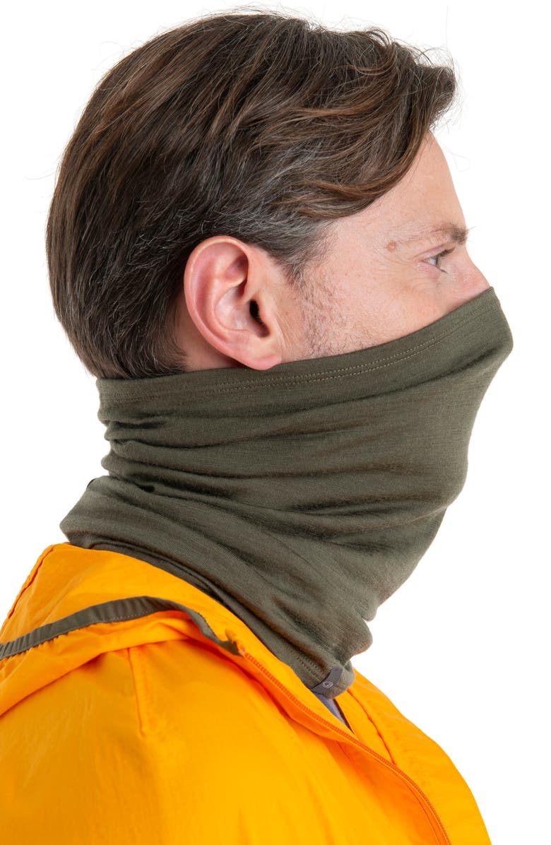 Icebreaker Oasis Flexi Chute Neck Gaiter, Alternate, color,