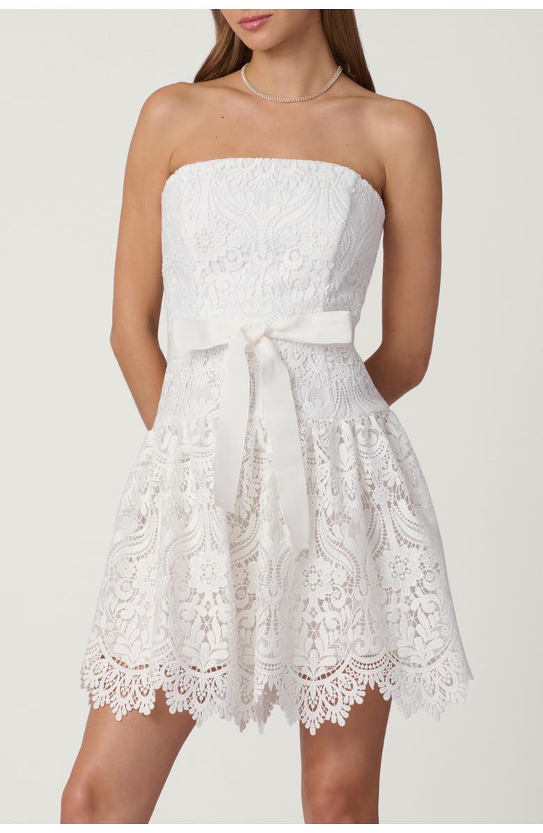 Shoshanna Midnight Medallion Lace Ester Dress, Main, color, Porcelain