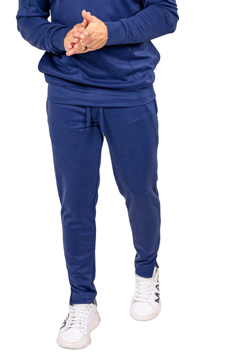 Marthyr Ribbed Performance Joggers, Alternate, color, BLUE
