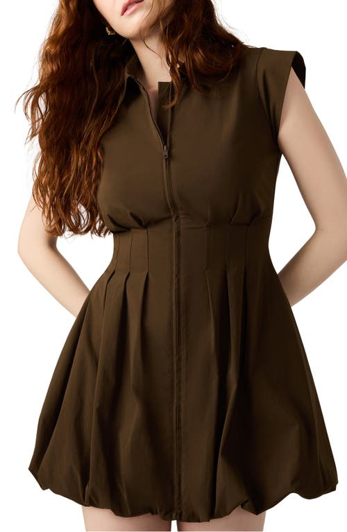 Steve Madden Dyanne Poplin Pleated Mini Dress In Brown