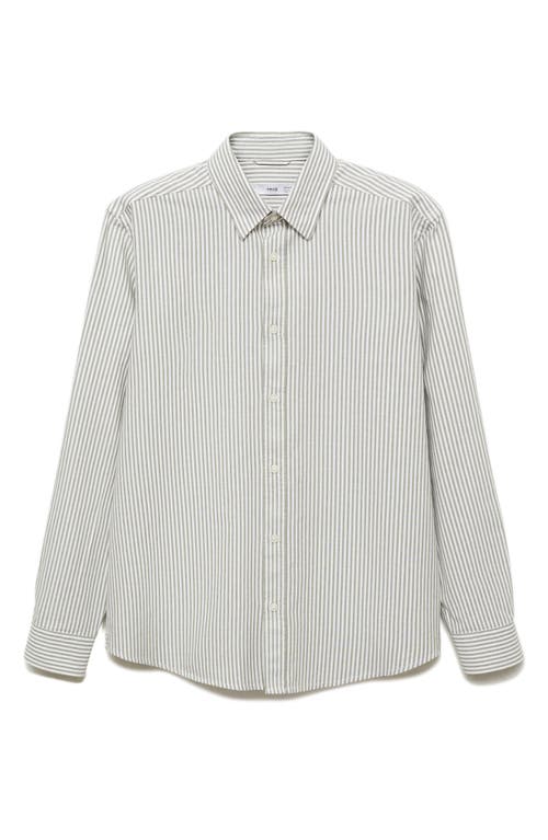 Mango Regular Fit Stripe Cotton Button-up Shirt In Blue