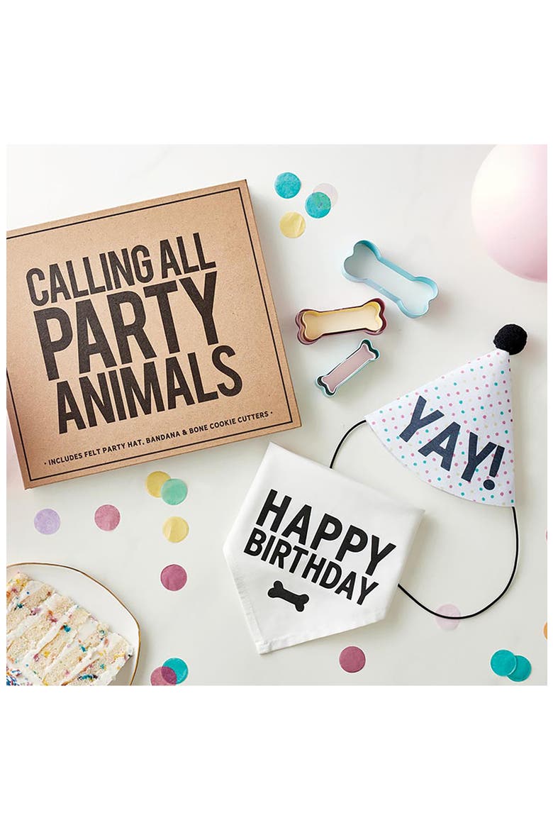 Pet Birthday Box, Alternate, color, WHITE