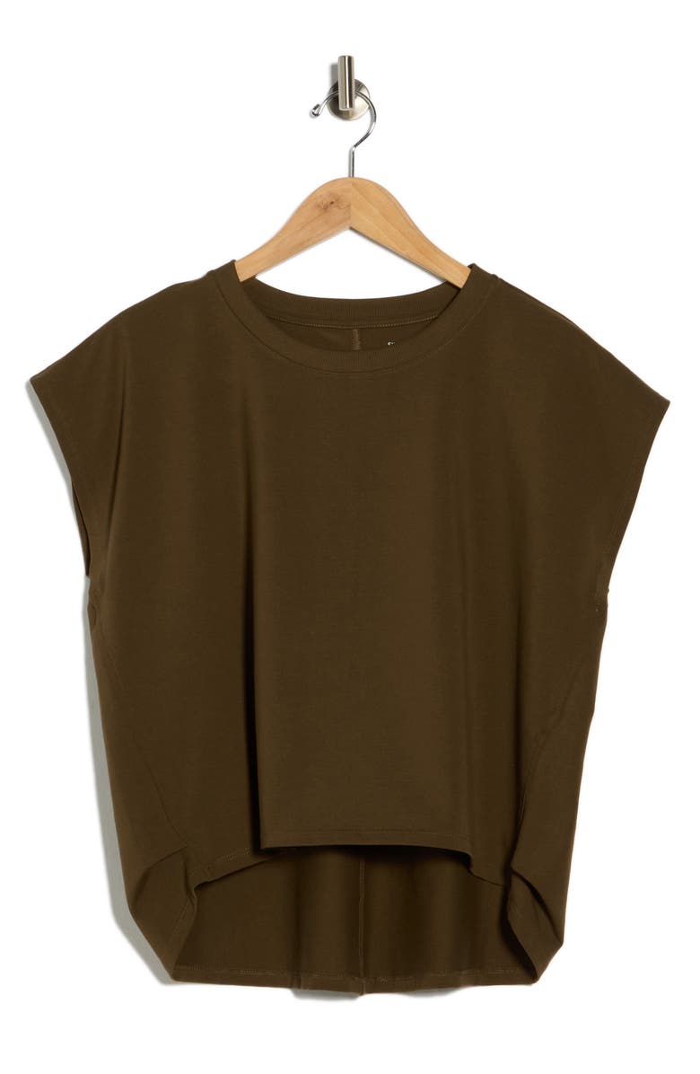 Eileen Fisher Crewneck Box Top, Main, color, Branch