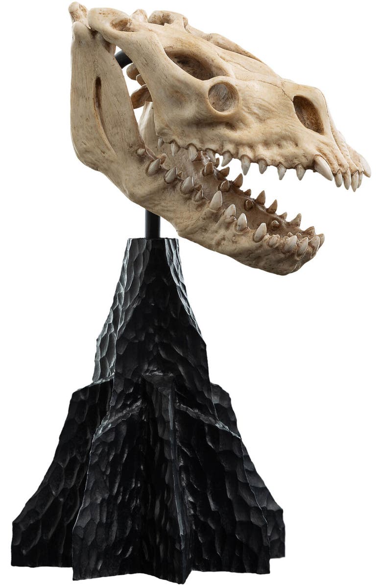 Weta Workshop Lotr - Skull Of A Fell Beast Polystone Statue, Alternate, color, 