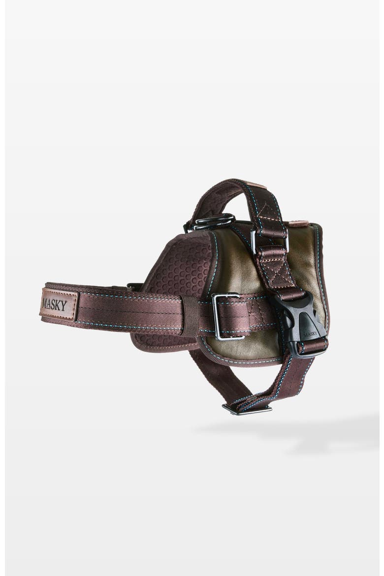 Signature Leather Dog Harness, Main, color, Medium Green