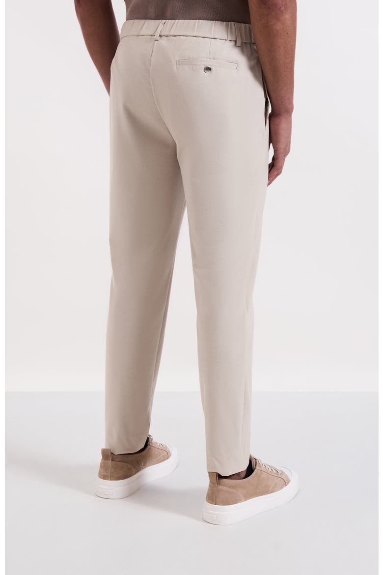 Aster Tailored Stretch Slim Leg Trousers, Alternate, color, Light Beige