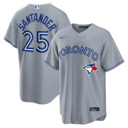 Nike Men's Nike Anthony Santander Gray Toronto Blue Jays Road Replica Jersey