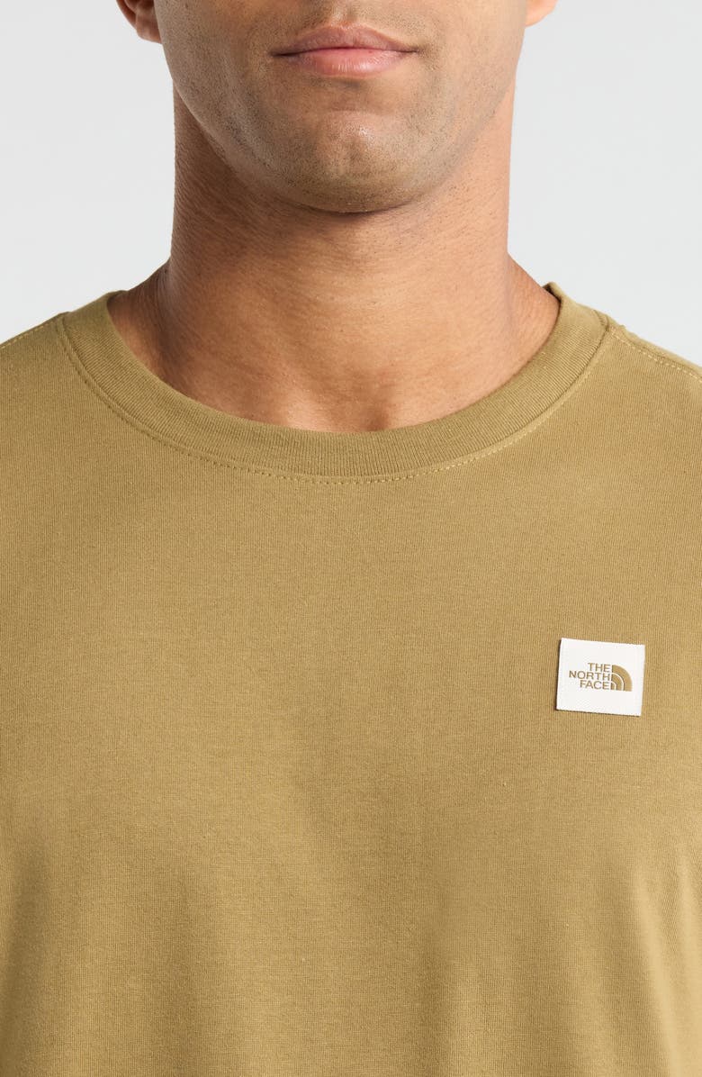 The North Face Places We Love - Denali Cotton Graphic T-Shirt, Alternate, color, Cedar