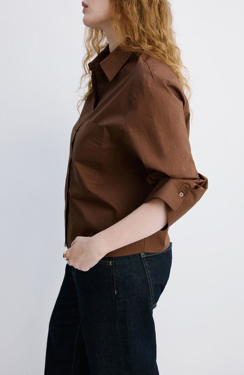 MANGO Stripe Cotton Button-Up Shirt, Alternate, color, Brown