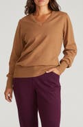 Universal Standard Flora V-Neck Sweater
