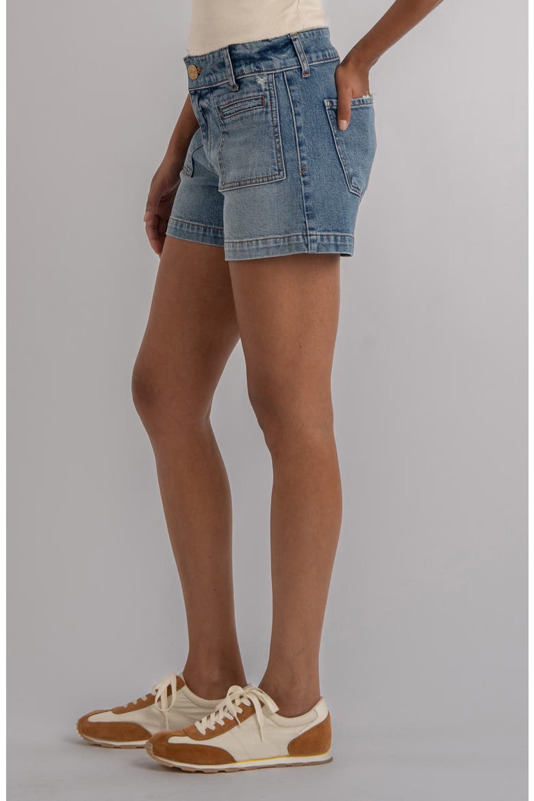 Jane Welt Pocket High Waist Denim Shorts, Alternate, color, VIBES