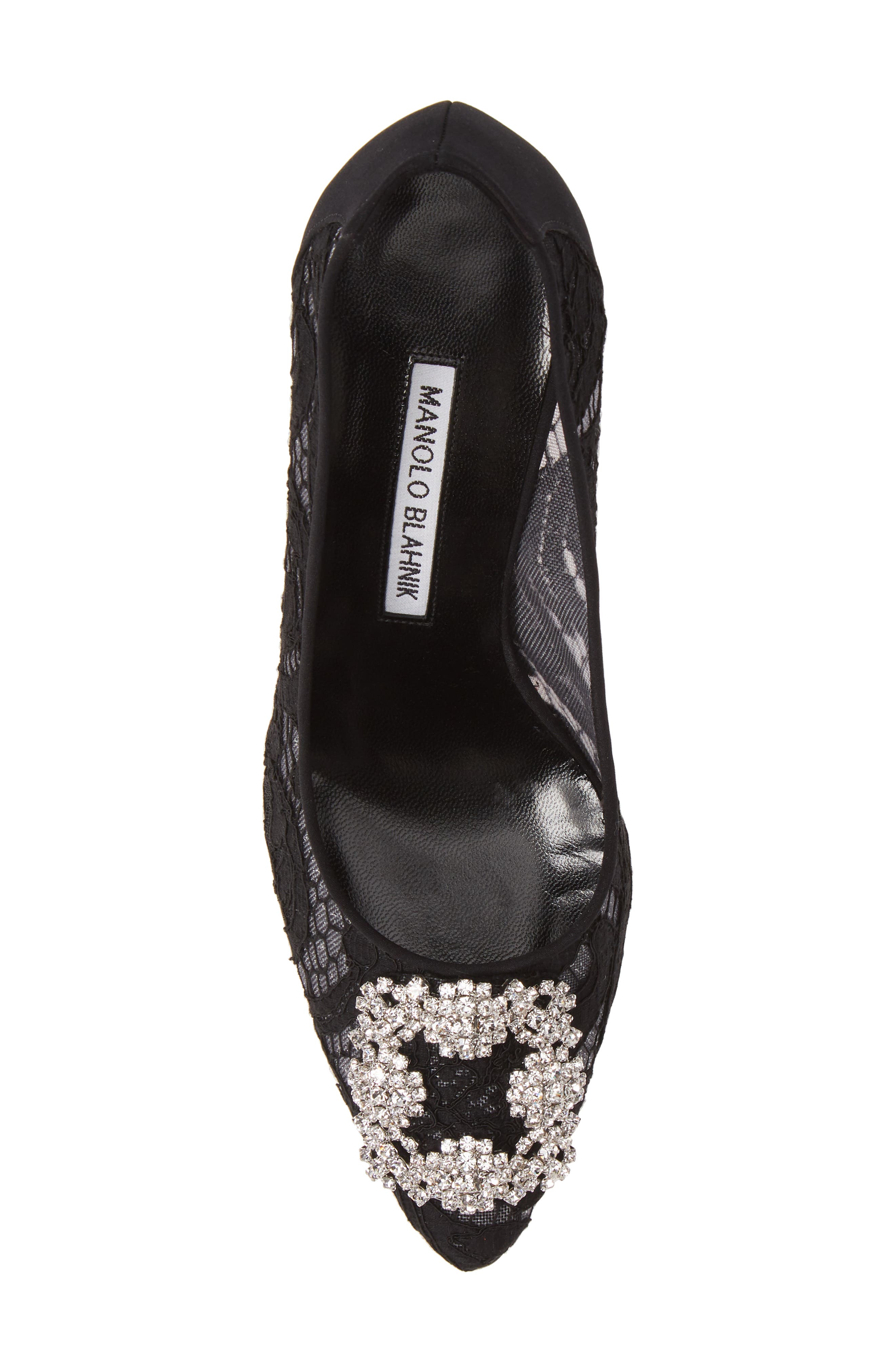 Manolo Blahnik Hangisi Pointed Toe Pump, Alternate, color, 