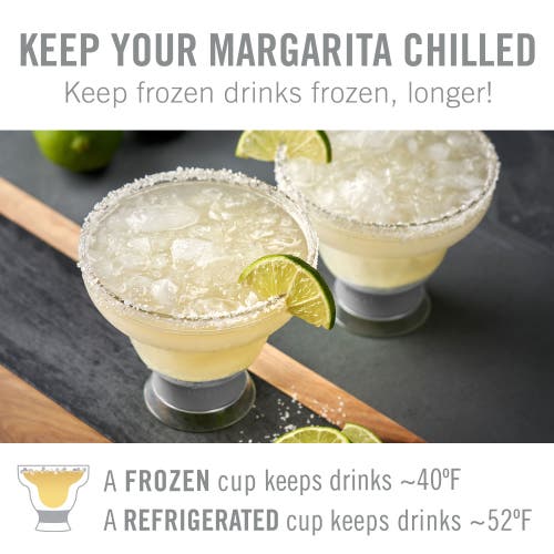 Host Margarita Freeze Cooling Cup Set Of 2 In Gray