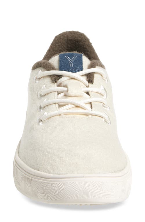 Shop Yy Nation Cirro Wool Blend Water Resistant Low Top Sneaker In Off White/white