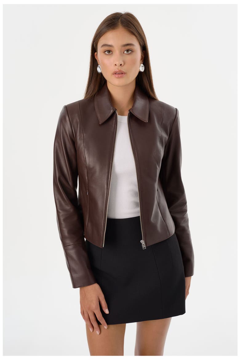 Oceana | Fitted Leather Jacket, Main, color, Mahogany