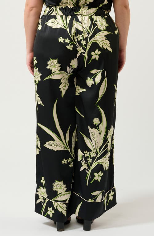 Estelle Baia Floral Pants In Black