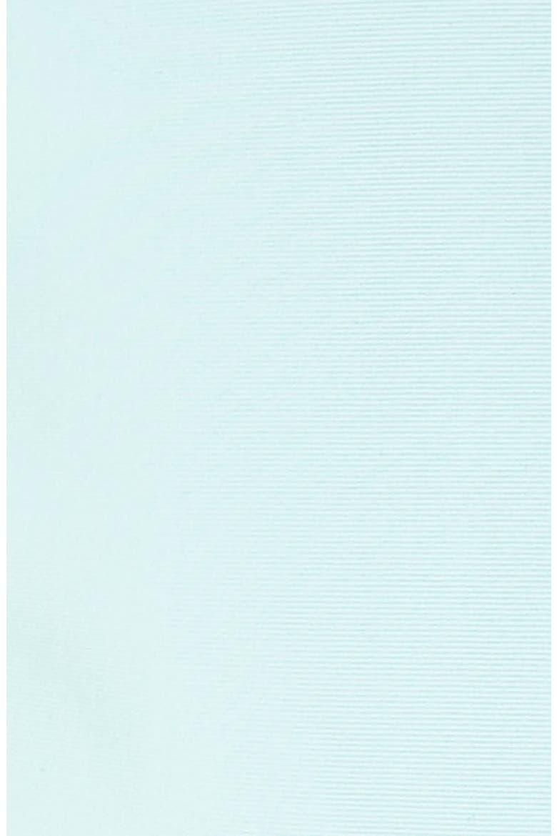 L Space Sandy Classic Bikini Bottoms, Alternate, color, LIGHT TURQUOISE