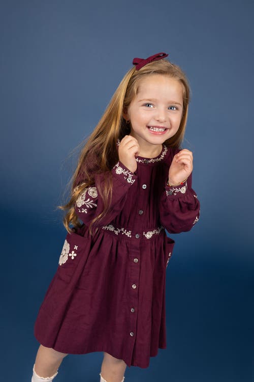 Looms Knits Looms Floral Embroidered Waisted Cotton Dress In Burgundy