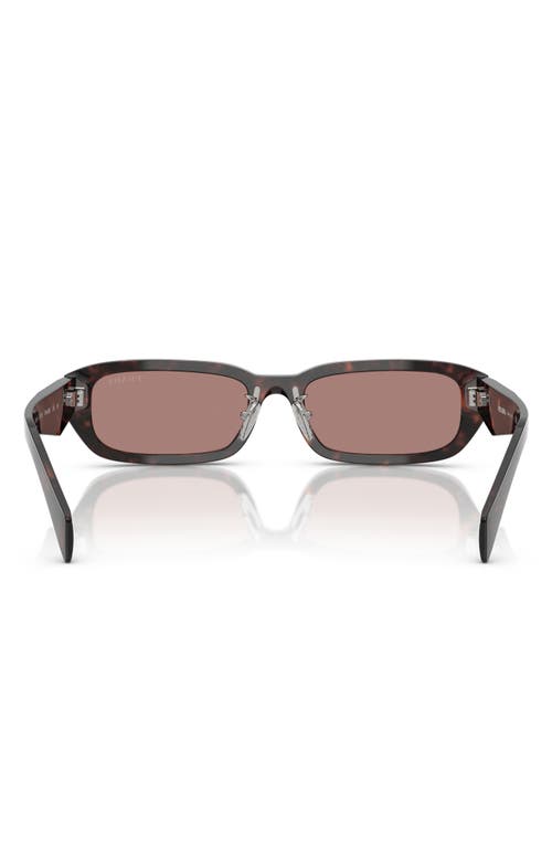 Prada 55mm Rectangular Sunglasses In Lite Brown