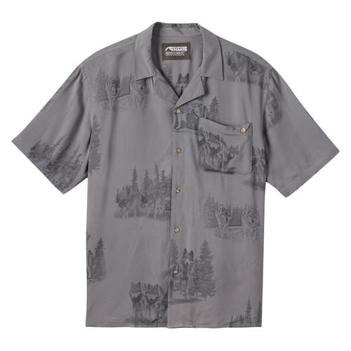 Shop Mountain Khakis Camp Site Shirt