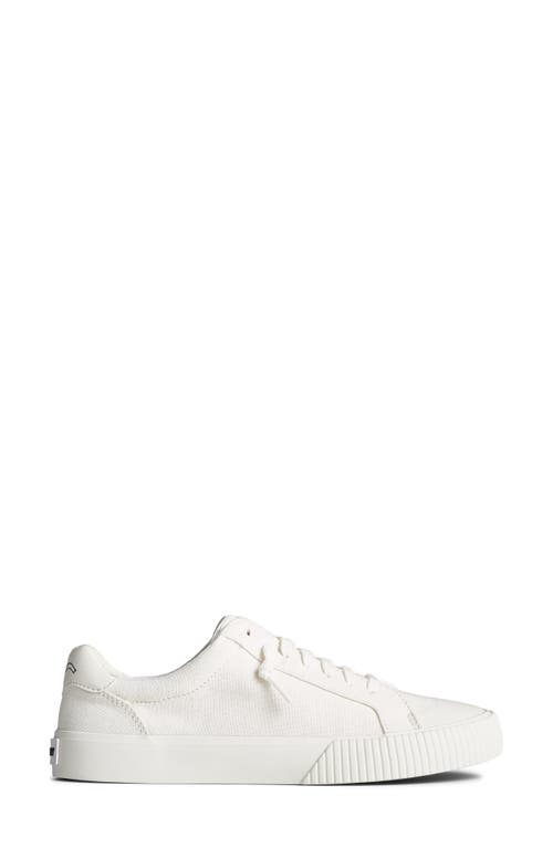 Sperry Top-sider® Bermuda Ltt Sneaker