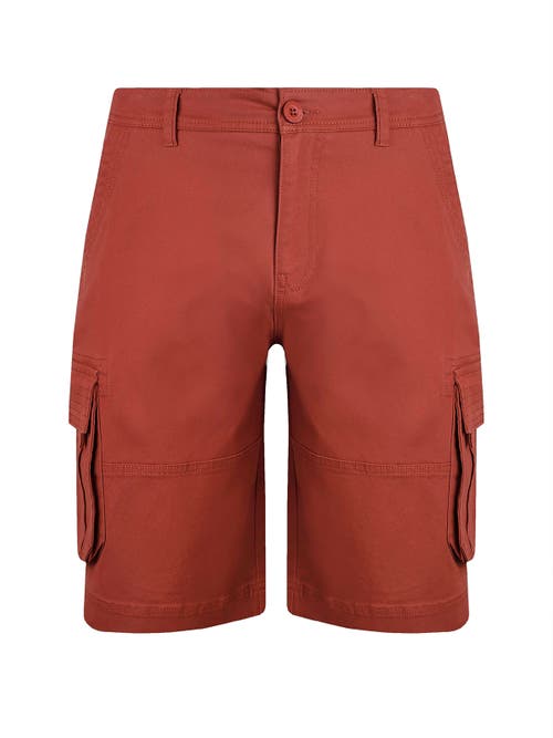 Weird Fish Rigney Cargo Shorts In Red