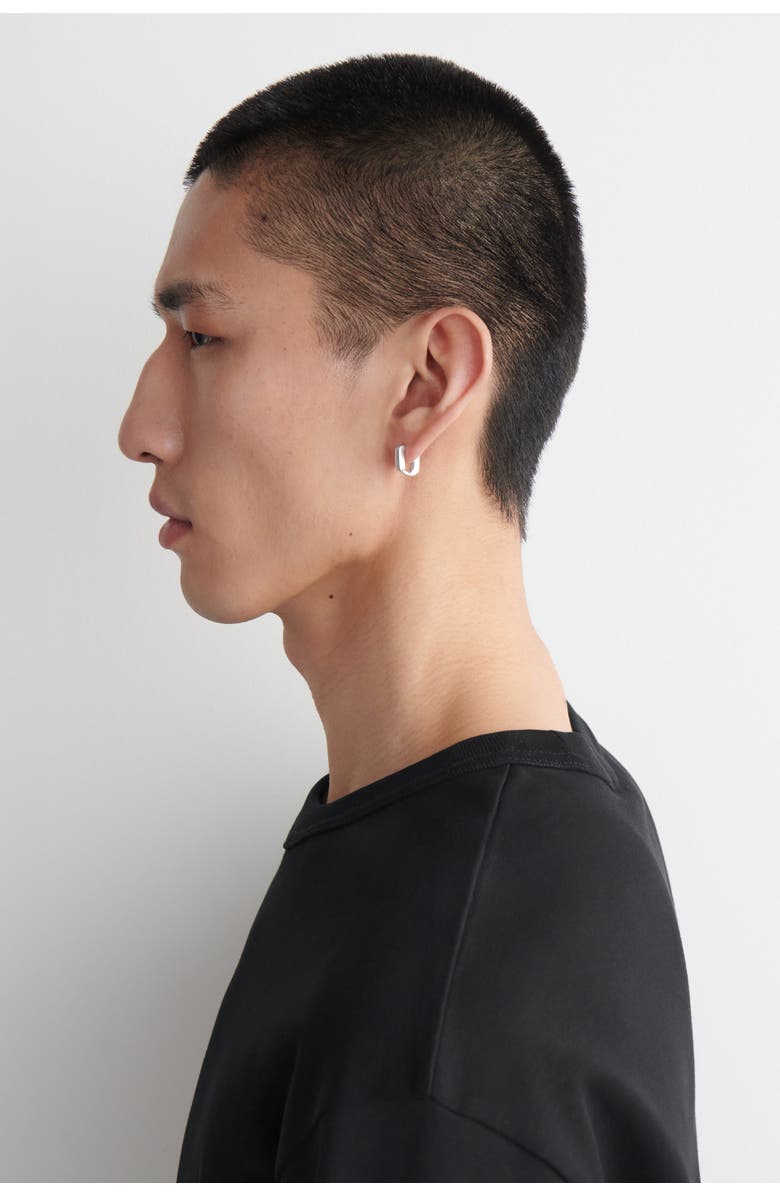 COS Link Hoop Earrings, Alternate, color, Silver