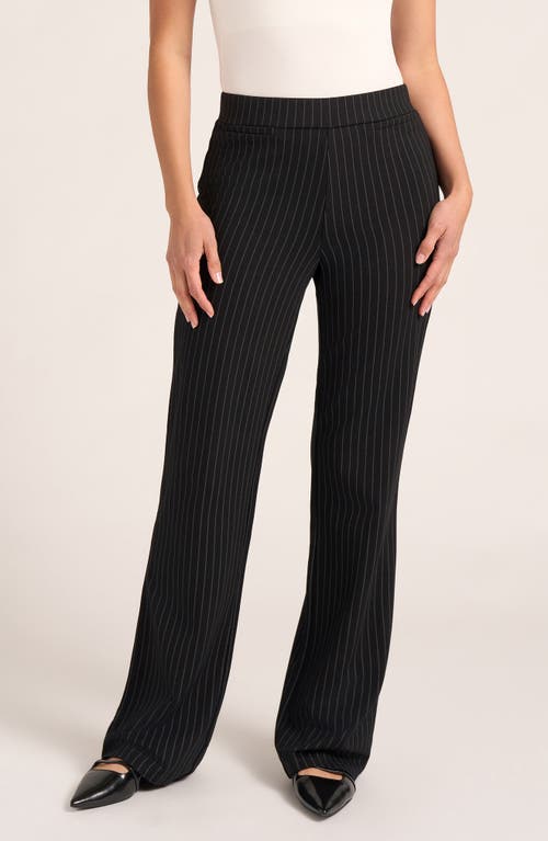 Matty M . Wide Leg Ponte Pants In Black