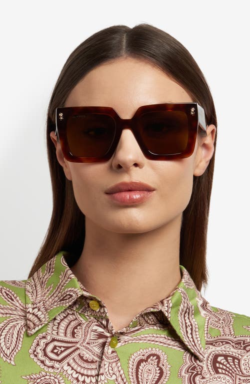 Etro 0089s Square Acetate Sunglasses