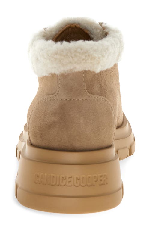 Candice Cooper Chado London Faux Shearling Bootie In Brown