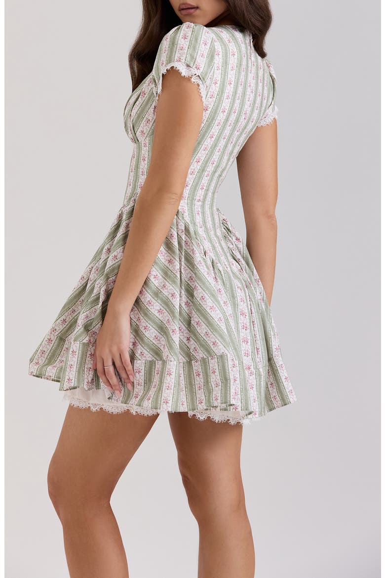 Emiliana Floral Print Minidress, Alternate, color, ROSE STRIPE FLORAL GREEN