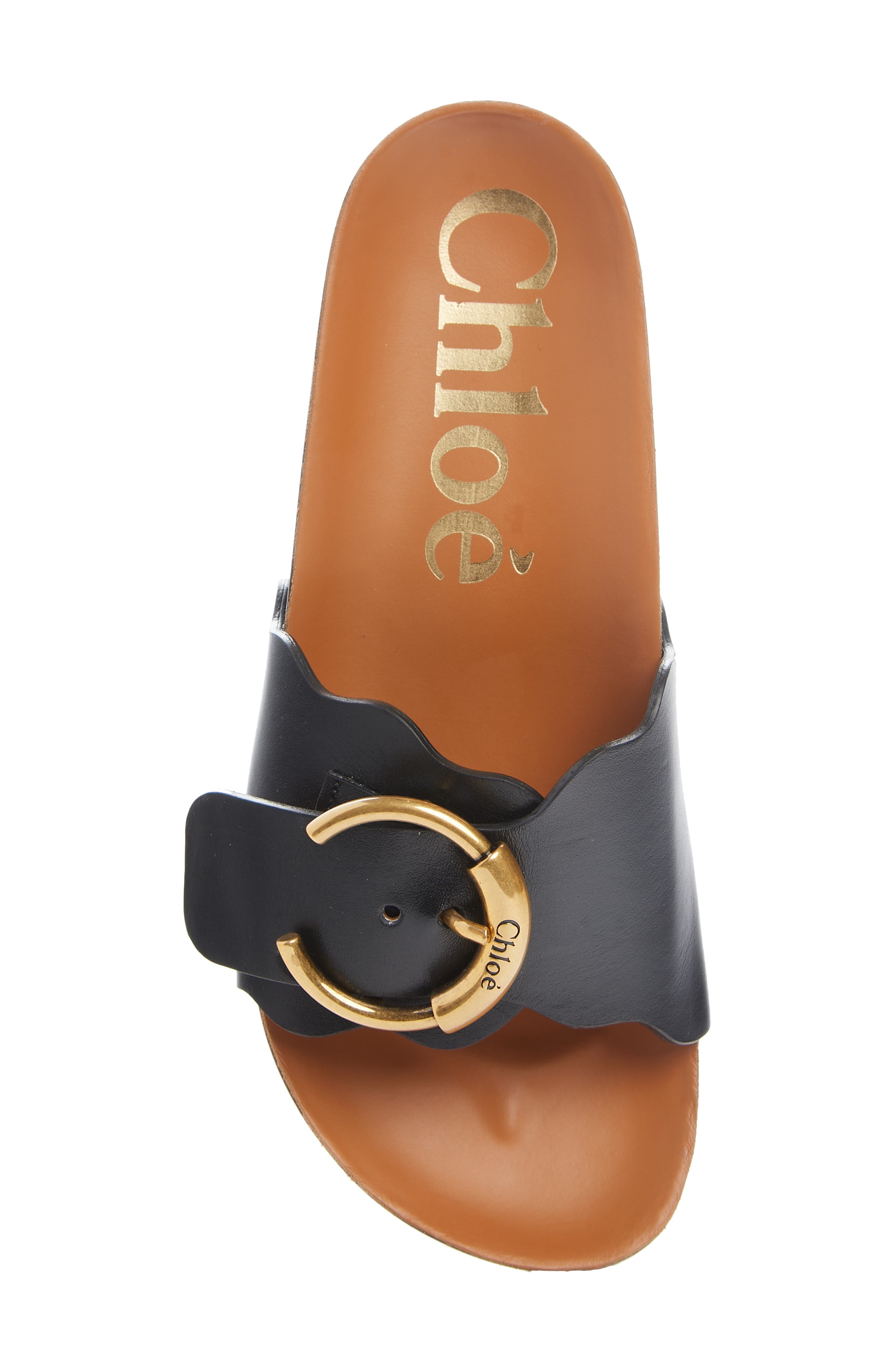 Chloé Lauren Logo Buckle Platform Slide Sandal, Alternate, color, 