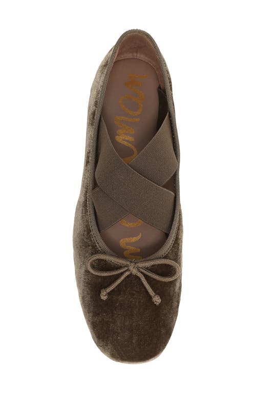 Sam Edelman Arya Ballet Flat In Brown