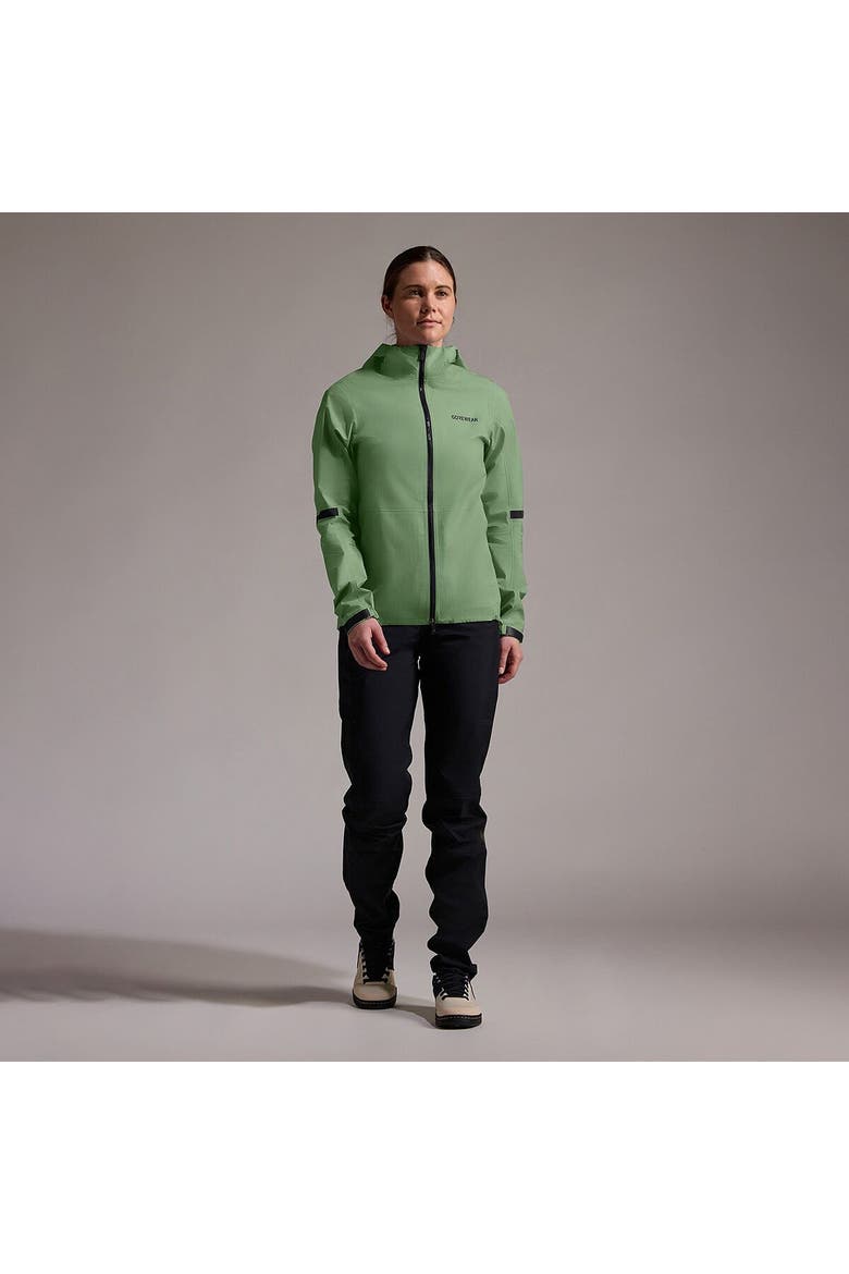 Lupra 2.0 Gore-Tex Hooded Jacket - Women's, Alternate, color, Engine Green