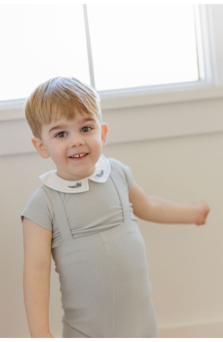 Ely's & Co. Organic Cotton Embroidered Collar Collection - Romper Boy, Alternate, color, Blue Leaf