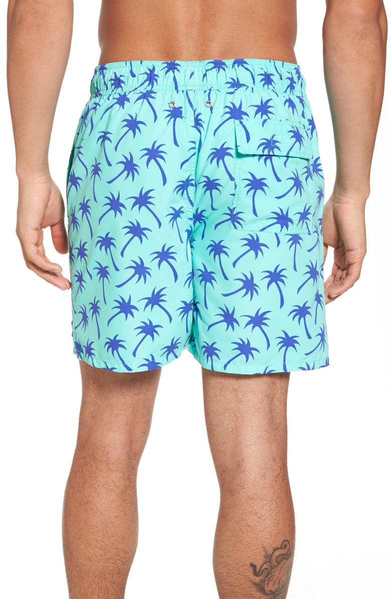Tom & Teddy Palm Tree Print Swim Trunks, Alternate, color, 