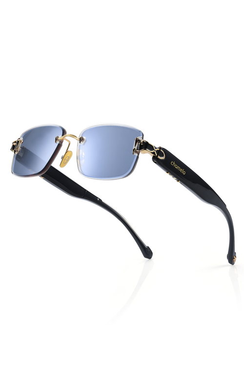 Chamelo Aura Sunglasses In Black