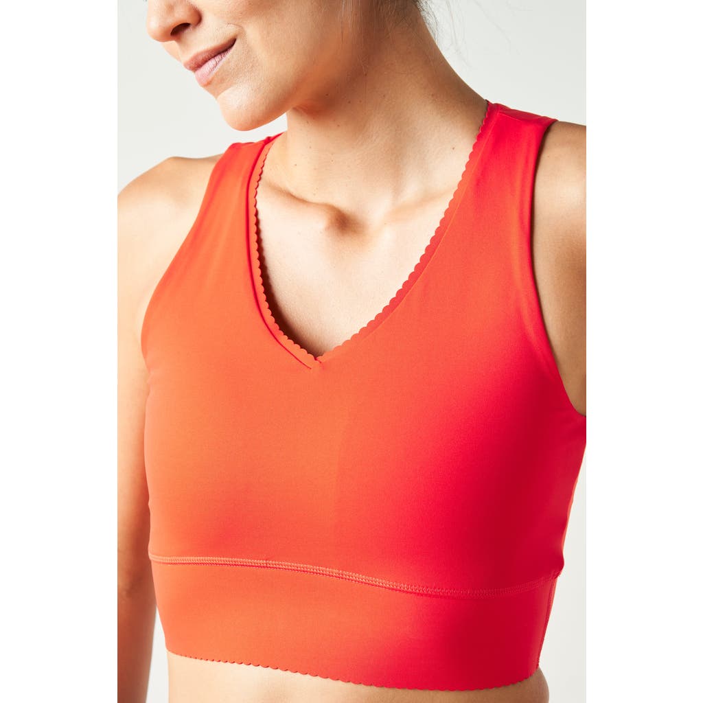 Elastique Athletics Adorn Bra In Red