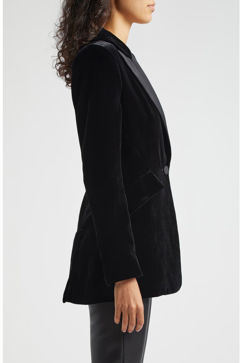 Sheila Structured Velvet Blazer, Alternate, color, BLACK