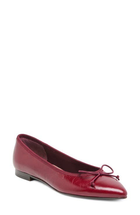 Celio Pointed Toe Flat