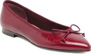 Dolce Vita Celio Pointed Toe Flat