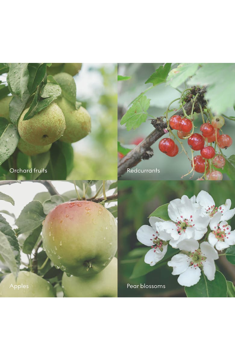 SKANDINAVISK Wash FJORD 500ml, Alternate, color, Green