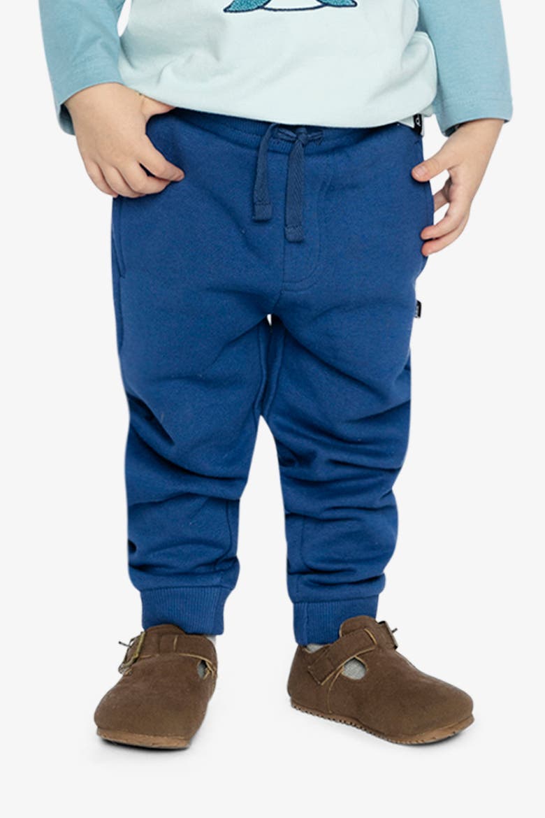 Fleece Drawstring Waist Ribbed Cuff Sweatpants, Alternate, color, Blue