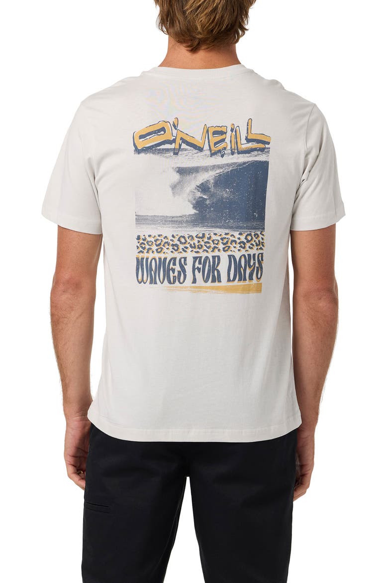 Bomb It Graphic T-Shirt, Alternate, color, ASH