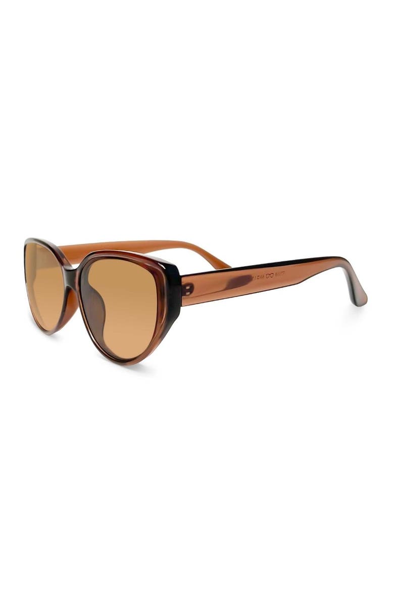 The Camden Sunglasses, Alternate, color, Brown