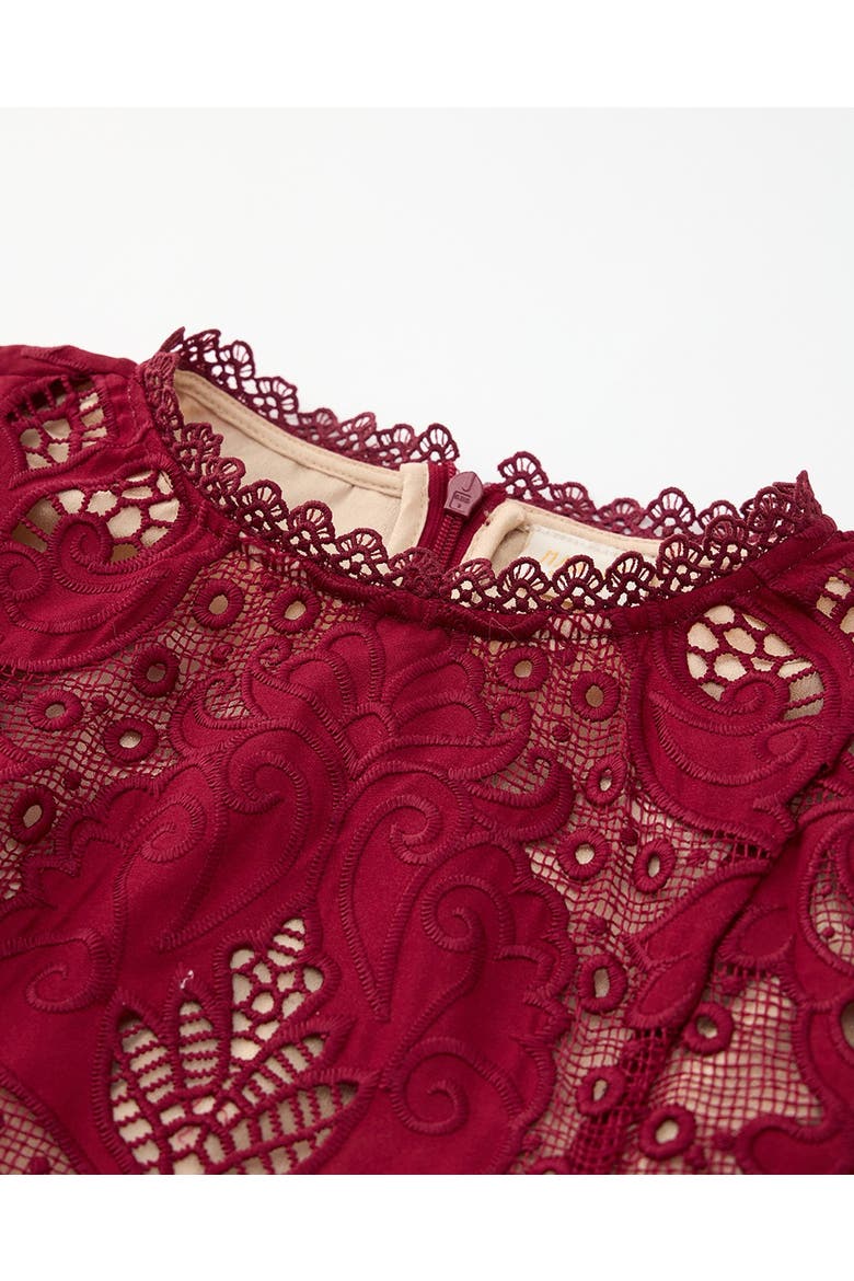 Gisele Embroidered Mini Dress, Alternate, color, Wine