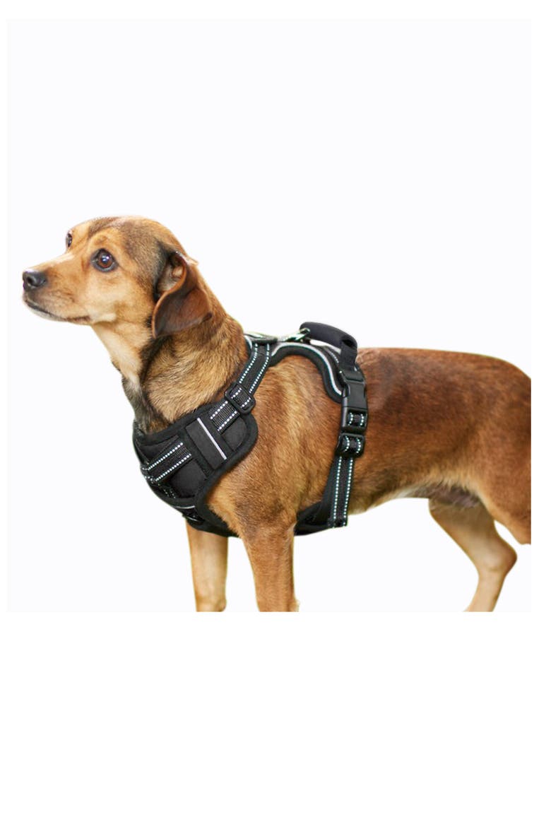 GooPaws Adjustable Padded Dog Harness, Alternate, color, BLACK