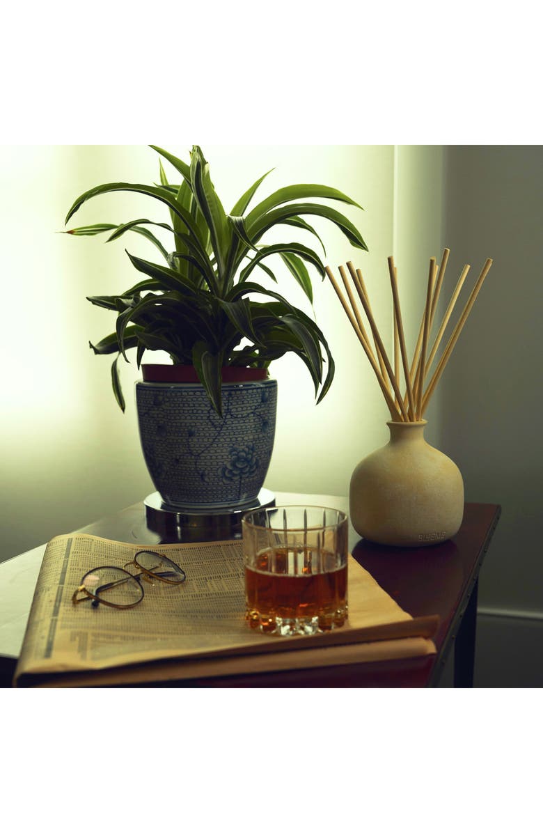 Blueme Nostalgia Large Ceramic Reed Diffuser, Alternate, color, 