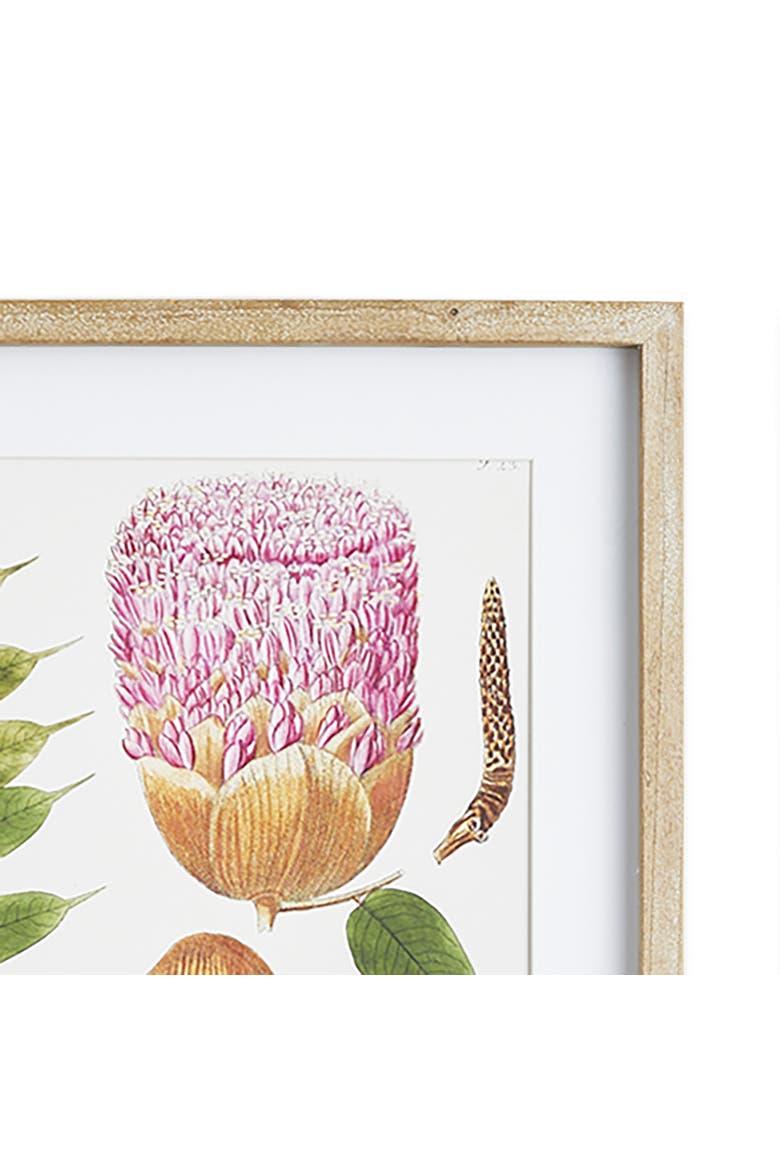 Leaf Botanical Study Set of 6, Alternate, color, Green